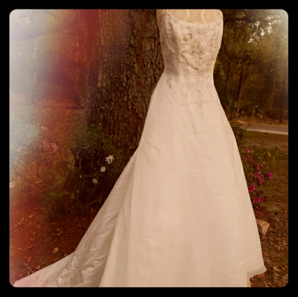 Beautiful demetrios halter wedding gown
